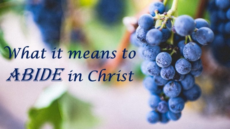 Read more about the article What It Means to Abide in Christ—One more Key Point: Dying to Self