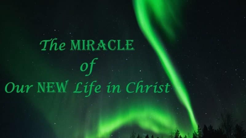 You are currently viewing The Miracle of Our New Life in Christ