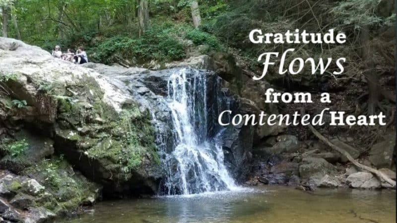 You are currently viewing Learning to be Content- Part 1: Gratitude Flows from a Contented Heart