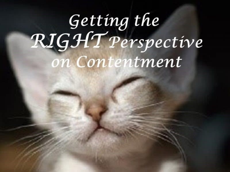 Read more about the article Learning to be Content Part 2: Getting the RIGHT Perspective