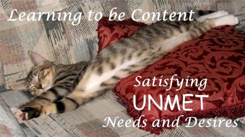 You are currently viewing Learning to be Content Part 3: Satisfying Unmet Needs and Desires