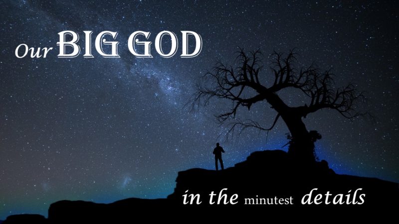 You are currently viewing Our BIG God in the Minutest Details