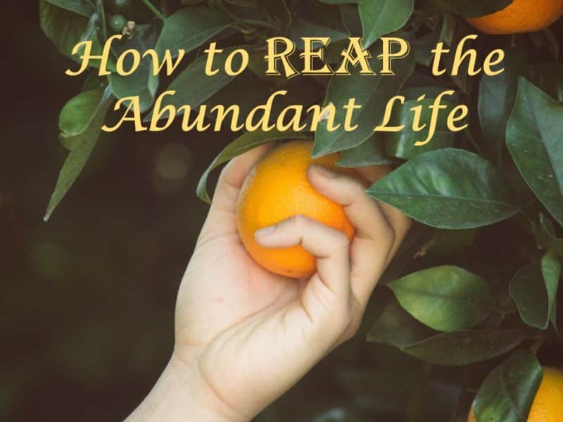 You are currently viewing The Abundant Life: Meaning, REAPING, and Keeping – Part 2