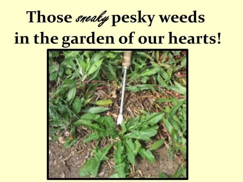 You are currently viewing Those Sneaky Pesky Weeds in the Garden of Our Hearts!