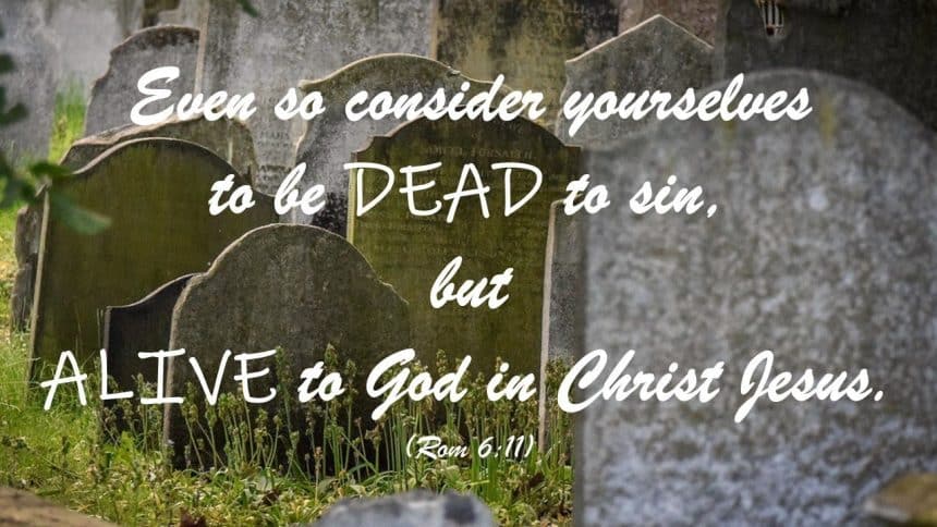 Read more about the article Surrender Part 3: What Does “Dying to Self” Mean?