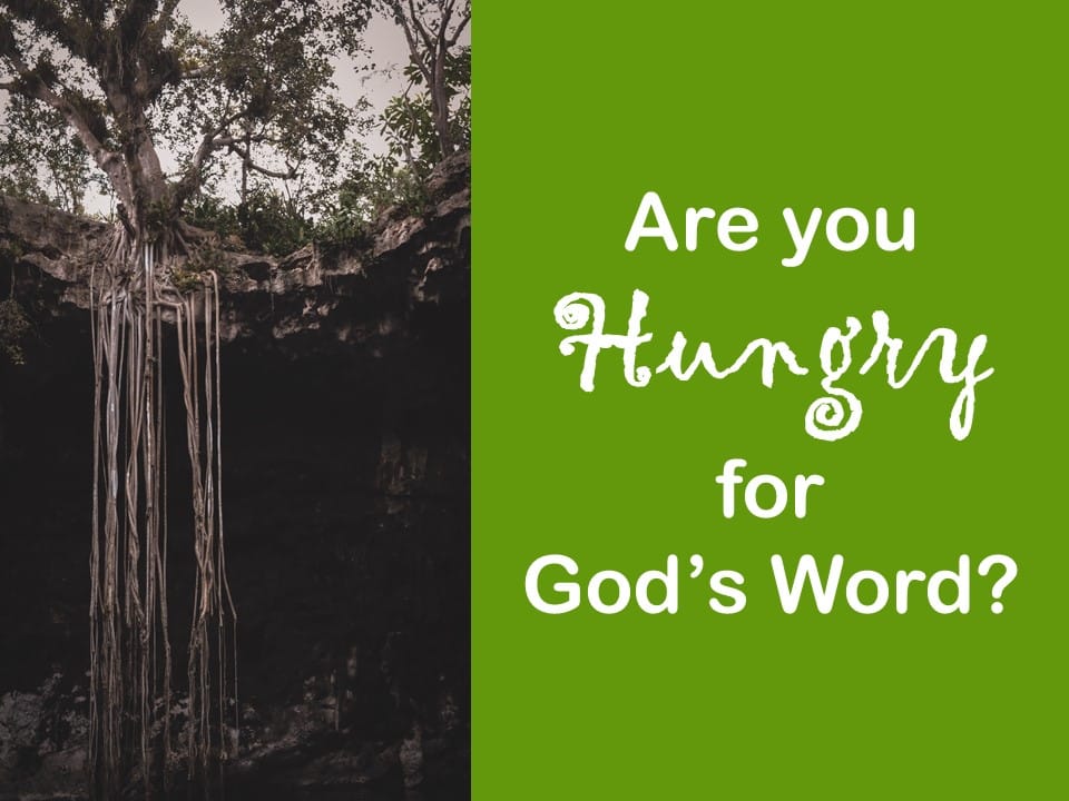 Read more about the article Are You Hungry for God’s Word?