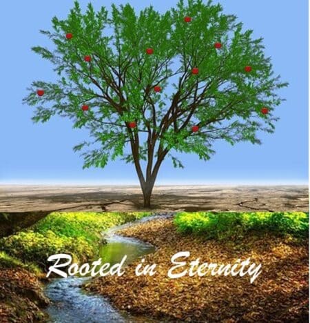 Read more about the article  Rooted in Eternity