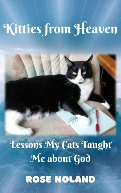 Kitties from Heaven E-Book