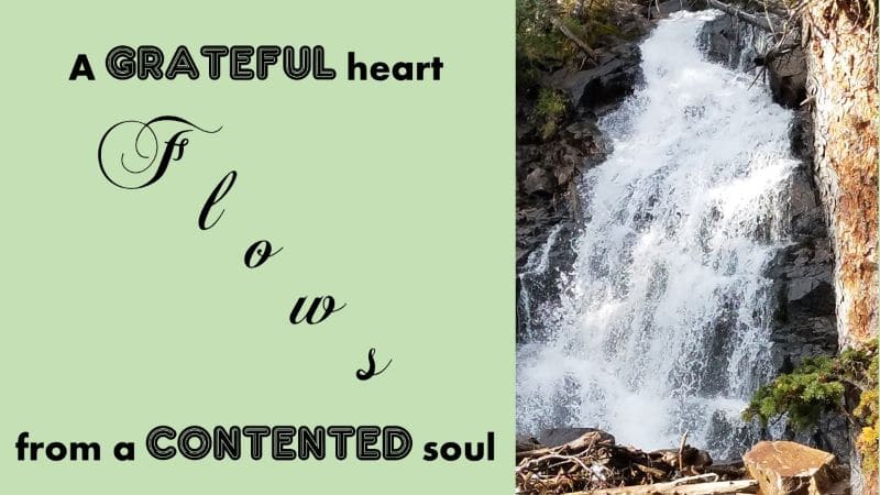 Read more about the article A Grateful Heart Flows from a Contented Soul