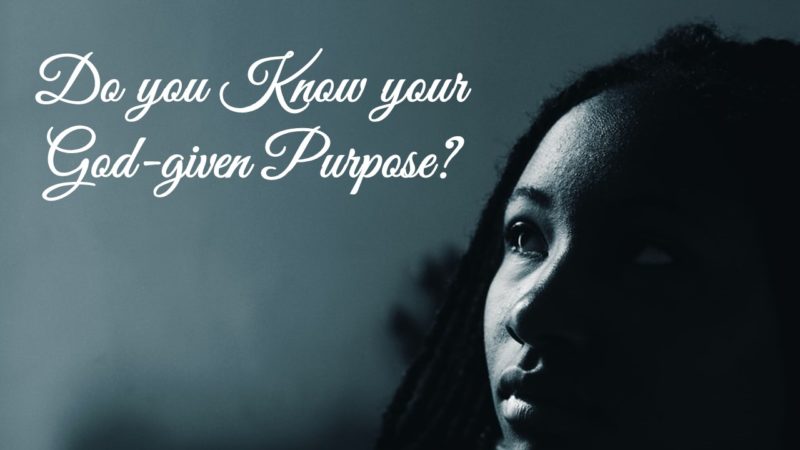 Read more about the article Do You Know Your God-given Purpose?