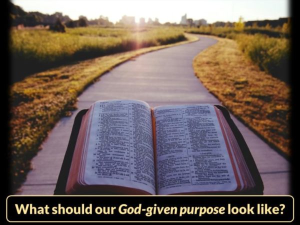 Read more about the article What Should Our God-Given Purpose Look Like?