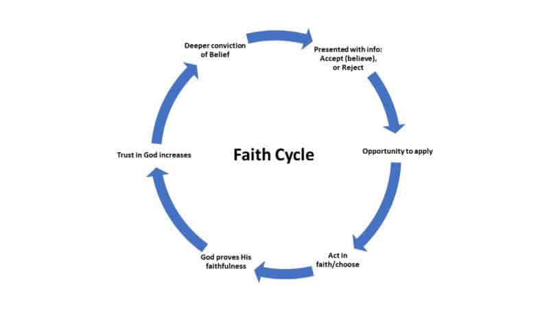 faith cycle