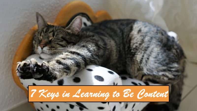 Read more about the article 7 Keys in Learning to be Content (Contentment Series Part 6)