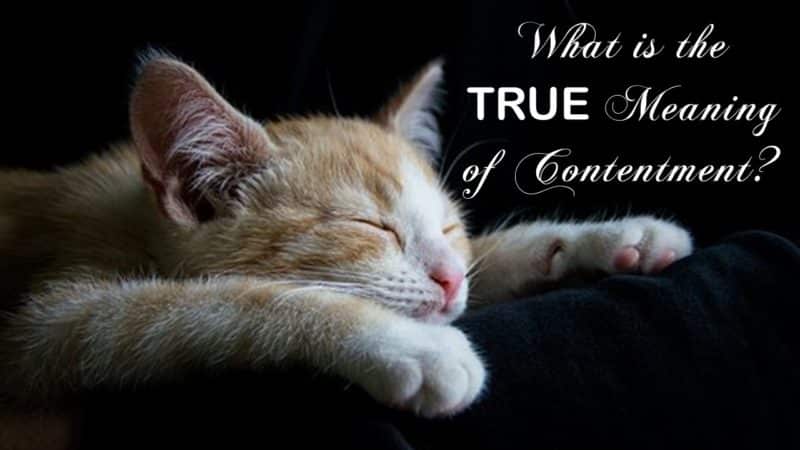 Read more about the article What is the True Meaning of Contentment? (Contentment Series Part 2)