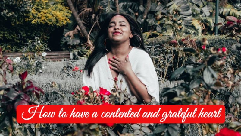 Read more about the article How to Have a Contented and Grateful Heart in 2023