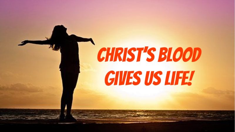 Read more about the article Christ’s Blood Gives Us Life!