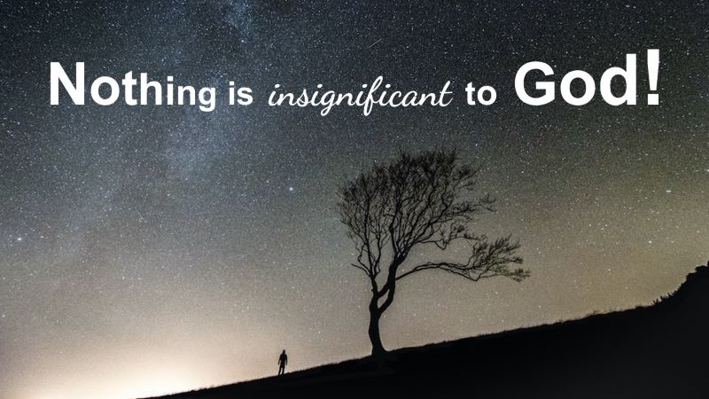 Read more about the article Nothing is Insignificant to God!