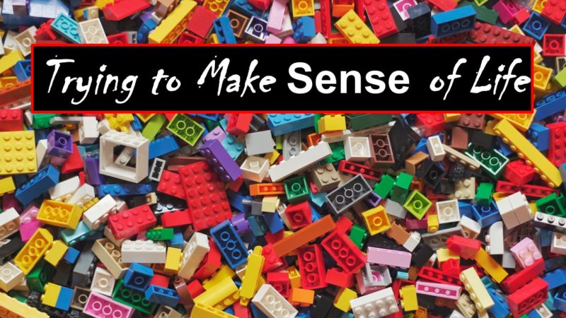 Read more about the article Trying to Make Sense of Life (Using Legos!)
