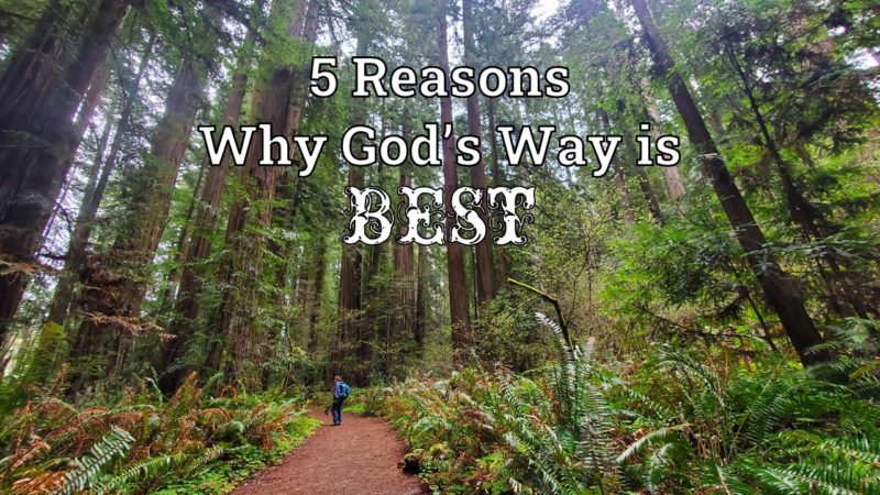 Read more about the article 5 Reasons Why God’s Way is BEST