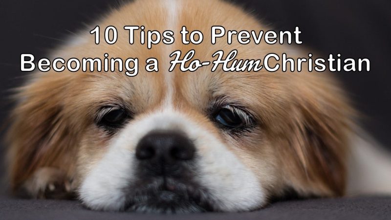 Read more about the article 10 Tips to Prevent Becoming a Ho-Hum Christian