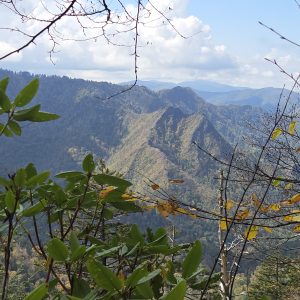 view in fall climbing Mt LeConte
