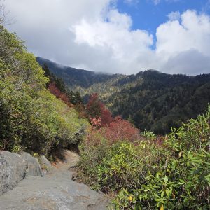 Fall view climbing Mt LeConte