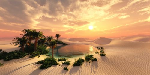 oasis in a desert