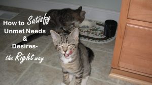How to Satisfy Unmet Needs and Desires—The Right Way (Contentment Series Part 4)