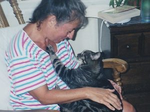 black and taupe tabby sitting on woman's lap with paw outstretched touching her face