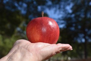 hand extended out offering an apple