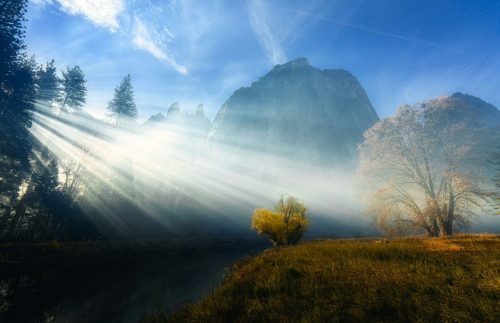 Light streaming from above through trees