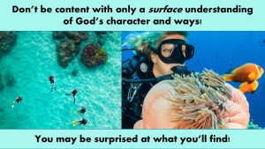 image on left: snorklers face-down in coral reef. image on right: woman scuba diver looking close at coral.