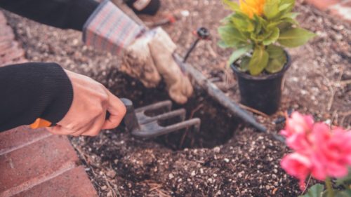 woman's hands digging in dirt to plant