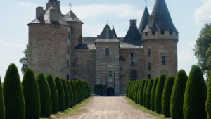 formal evergreen hedge in front of castle