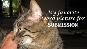 My Favorite Word Picture for Submission