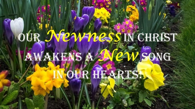 Our Newness in Christ Awakens a New Song in Our Hearts!