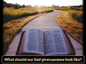 What Should Our God-Given Purpose Look Like?